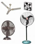 FANS